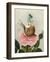 A Fairy Holding a Leaf, Sitting on a Snail Above a Rose-Amelia Jane Murray-Framed Giclee Print