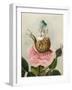 A Fairy Holding a Leaf, Sitting on a Snail Above a Rose-Amelia Jane Murray-Framed Giclee Print