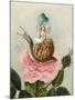 A Fairy Holding a Leaf, Sitting on a Snail Above a Rose-Amelia Jane Murray-Mounted Giclee Print