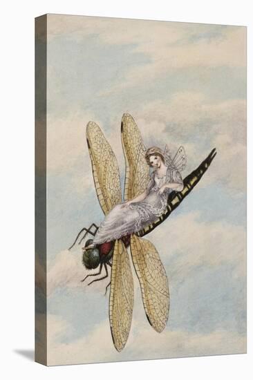 A Fairy Reclining on a Dragonfly-Amelia Jane Murray-Stretched Canvas