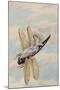 A Fairy Reclining on a Dragonfly-Amelia Jane Murray-Mounted Giclee Print