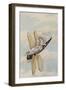 A Fairy Reclining on a Dragonfly-Amelia Jane Murray-Framed Giclee Print