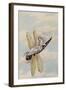 A Fairy Reclining on a Dragonfly-Amelia Jane Murray-Framed Giclee Print