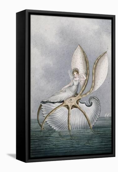 A Fairy Resting on a Shell-Amelia Jane Murray-Framed Stretched Canvas