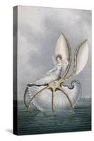 A Fairy Resting on a Shell-Amelia Jane Murray-Stretched Canvas