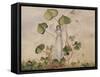 A Fairy Standing Among Clover-Amelia Jane Murray-Framed Stretched Canvas