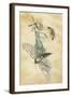 A Fairy Standing on a Moth While Being Chased by a Butterfly-Amelia Jane Murray-Framed Giclee Print