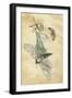 A Fairy Standing on a Moth While Being Chased by a Butterfly-Amelia Jane Murray-Framed Giclee Print