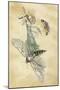 A Fairy Standing on a Moth While Being Chased by a Butterfly-Amelia Jane Murray-Mounted Giclee Print
