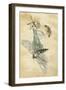 A Fairy Standing on a Moth While Being Chased by a Butterfly-Amelia Jane Murray-Framed Premium Giclee Print