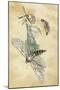 A Fairy Standing on a Moth While Being Chased by a Butterfly-Amelia Jane Murray-Mounted Premium Giclee Print