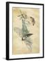 A Fairy Standing on a Moth While Being Chased by a Butterfly-Amelia Jane Murray-Framed Giclee Print