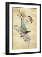 A Fairy Standing on a Moth While Being Chased by a Butterfly-Amelia Jane Murray-Framed Giclee Print