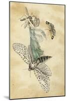 A Fairy Standing on a Moth While Being Chased by a Butterfly-Amelia Jane Murray-Mounted Giclee Print