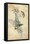A Fairy Standing on a Moth While Being Chased by a Butterfly-Amelia Jane Murray-Framed Stretched Canvas