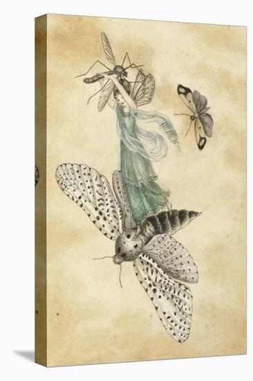 A Fairy Standing on a Moth While Being Chased by a Butterfly-Amelia Jane Murray-Stretched Canvas
