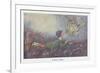 A Fairy Vision-Hilda T. Miller-Framed Premium Giclee Print