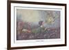 A Fairy Vision-Hilda T. Miller-Framed Premium Giclee Print