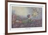 A Fairy Vision-Hilda T. Miller-Framed Premium Giclee Print