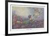 A Fairy Vision-Hilda T. Miller-Framed Premium Giclee Print