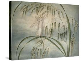 A Fairy Waving Her Wand Standing Among Blades of Grass-Amelia Jane Murray-Stretched Canvas