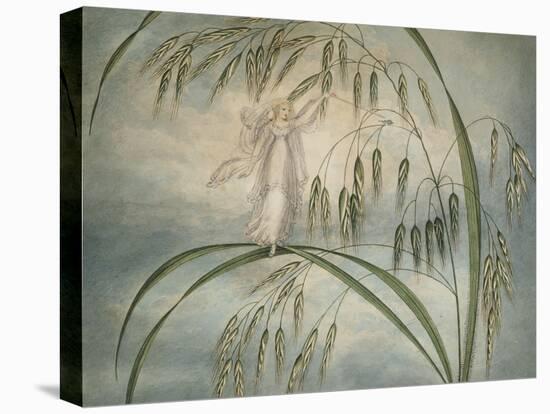 A Fairy Waving Her Wand Standing Among Blades of Grass-Amelia Jane Murray-Stretched Canvas