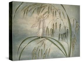 A Fairy Waving Her Wand Standing Among Blades of Grass-Amelia Jane Murray-Stretched Canvas