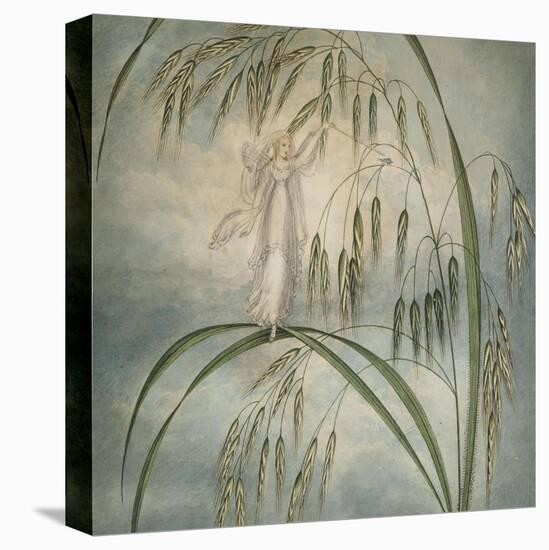 A Fairy Waving Her Wand Standing Among Blades of Grass-Amelia Jane Murray-Stretched Canvas