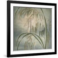 A Fairy Waving Her Wand Standing Among Blades of Grass-Amelia Jane Murray-Framed Giclee Print