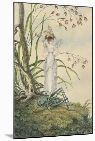 A Fairy with a Bee on Her Head Standing on a Grasshopper-Amelia Jane Murray-Mounted Giclee Print