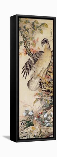 A Falcon-Jakuchu Ito-Framed Stretched Canvas