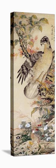 A Falcon-Jakuchu Ito-Stretched Canvas