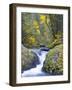 A Fall Color Scene on Eagle Creek in the Columbia Gorge, Oregon, USA-Gary Luhm-Framed Photographic Print