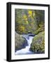 A Fall Color Scene on Eagle Creek in the Columbia Gorge, Oregon, USA-Gary Luhm-Framed Photographic Print