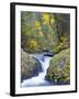 A Fall Color Scene on Eagle Creek in the Columbia Gorge, Oregon, USA-Gary Luhm-Framed Photographic Print