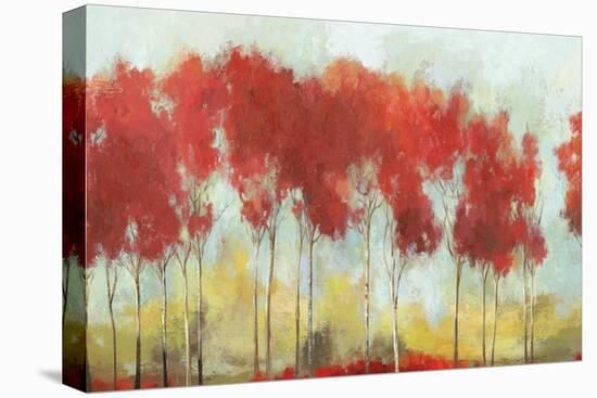 A Fall Day Breeze-Allison Pearce-Stretched Canvas