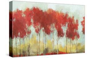 A Fall Day Breeze-Allison Pearce-Stretched Canvas