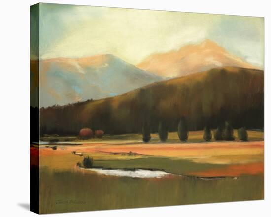 A Fall Day in the Mountains-Judith D'Agostino-Stretched Canvas