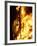 A Falla with Satirical Figures Burns During the Traditional Fallas Festival-null-Framed Photographic Print