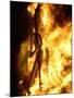 A Falla with Satirical Figures Burns During the Traditional Fallas Festival-null-Mounted Photographic Print