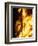 A Falla with Satirical Figures Burns During the Traditional Fallas Festival-null-Framed Photographic Print