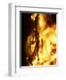 A Falla with Satirical Figures Burns During the Traditional Fallas Festival-null-Framed Photographic Print