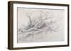 A Fallen Tree Lying by a Pool, C.1630-Peter Paul Rubens-Framed Giclee Print