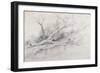 A Fallen Tree Lying by a Pool, C.1630-Peter Paul Rubens-Framed Giclee Print