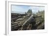 A fallen tree-Natalie Tepper-Framed Photo