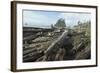 A fallen tree-Natalie Tepper-Framed Photo