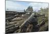 A fallen tree-Natalie Tepper-Mounted Photo