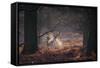 A Fallow Deer in the Early Morning Winter Mist in Richmond Park-Alex Saberi-Framed Stretched Canvas