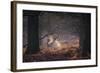 A Fallow Deer in the Early Morning Winter Mist in Richmond Park-Alex Saberi-Framed Photographic Print