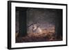 A Fallow Deer in the Early Morning Winter Mist in Richmond Park-Alex Saberi-Framed Photographic Print